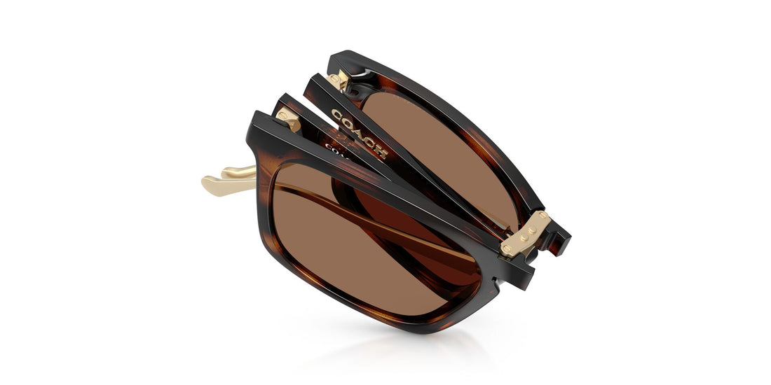 COACH HC8455 512013 56 SUNGLASSES