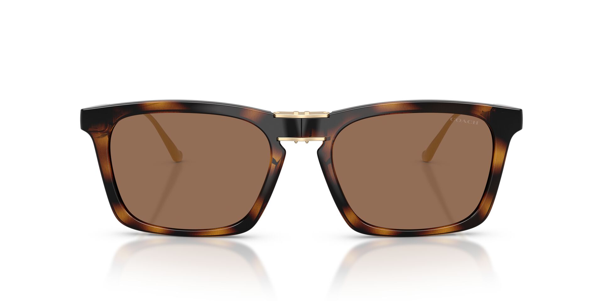 COACH HC8455 512013 56 SUNGLASSES
