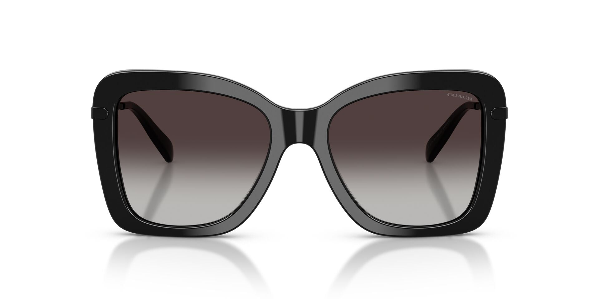 COACH HC8461U CFU03 50028G 54 SUNGLASSES