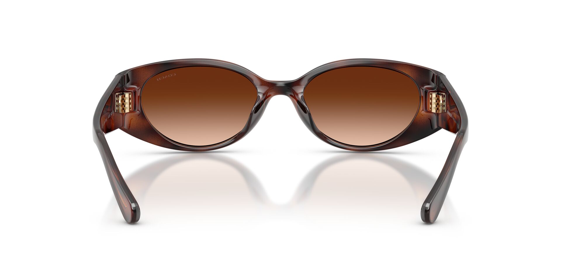 COACH HC8462U 512074 54 SUNGLASSES