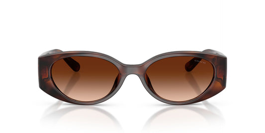 COACH HC8462U 512074 54 SUNGLASSES
