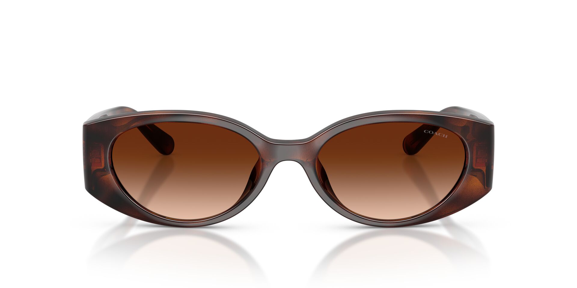 COACH HC8462U 512074 54 SUNGLASSES