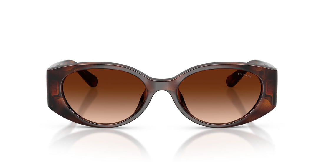 COACH HC8462U 512074 54 SUNGLASSES