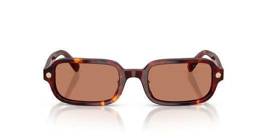 COACH HC8465U CFU11 593873 51 SUNGLASSES
