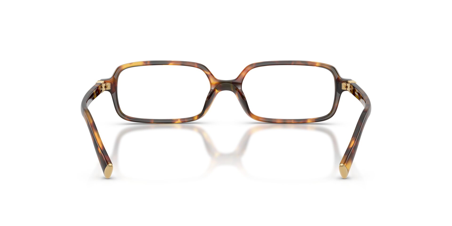 MIU MIU MU01YV 14L101 53 FRAME