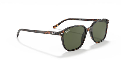 RAYBAN RB2193 LEONARD 902/31 53 SUNGLASSES