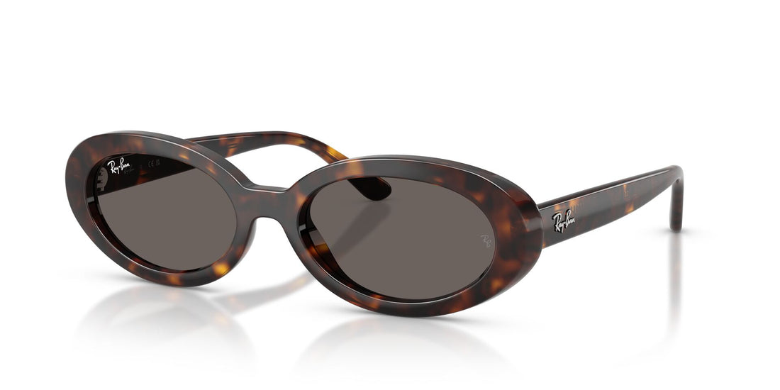 RAYBAN RB2223 902B1 54 SUNGLASSES