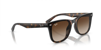 RAYBAN RB4420 710/13 65 SUNGLASSES