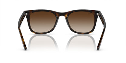 RAYBAN RB4420 710/13 65 SUNGLASSES