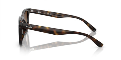 RAYBAN RB4420 710/13 65 SUNGLASSES