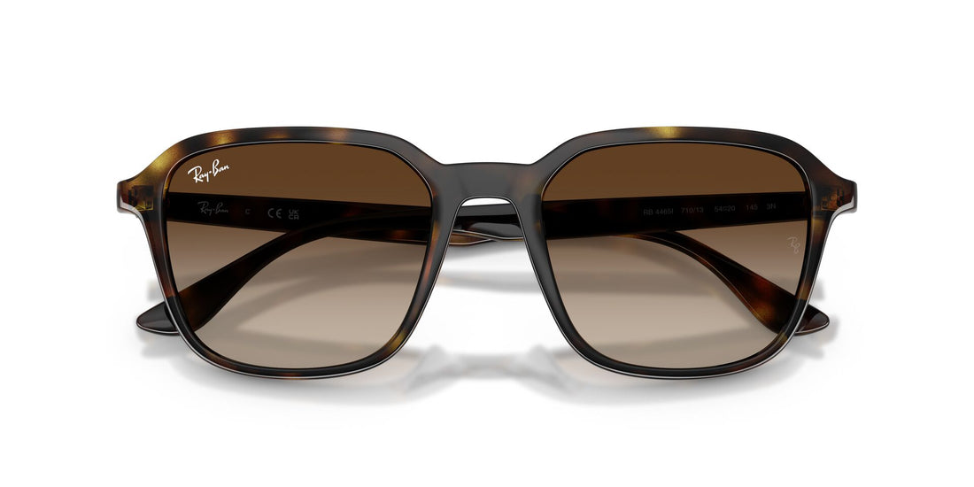 RAYBAN RB4465I 71013 54 SUNGLASSES