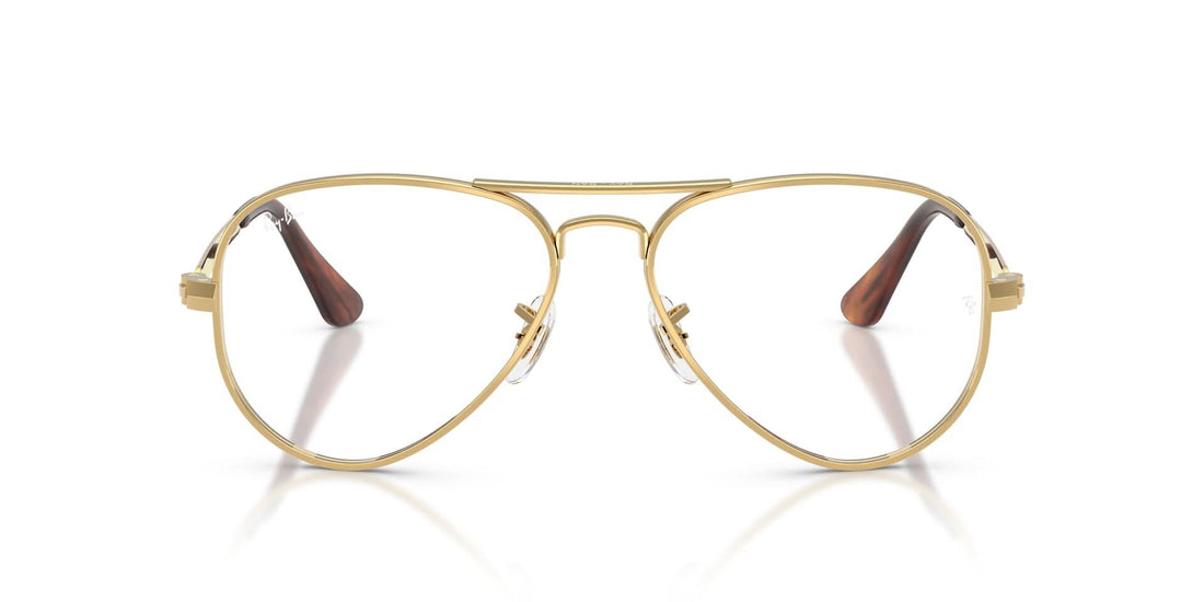 RAYBAN RX3925V AVIATOR MAX 2500 58 FRAME