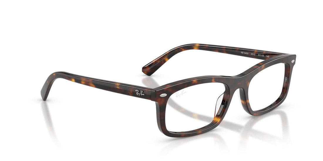 RAYBAN RX5450 2012 54 FRAME