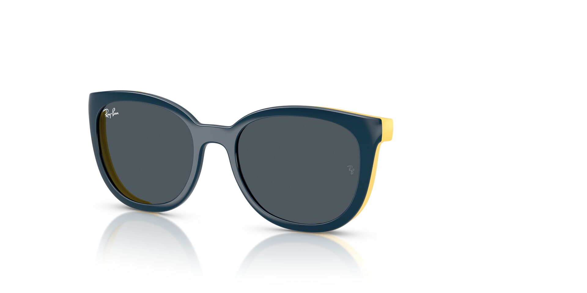 RAYBAN RY1631C 393787 47 SUNGLASSES