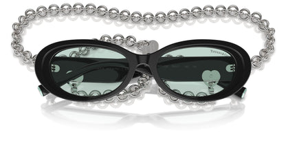 TIFFANY & CO TF4221 8001D9 54 SUNGLASSES