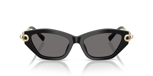 TIFFANY & CO TF4231U 800181 53 SUNGLASSES