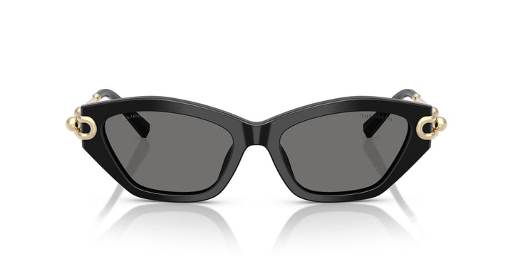 TIFFANY & CO TF4231U 800181 53 SUNGLASSES