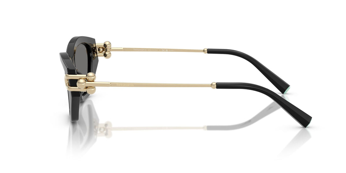 TIFFANY & CO TF4231U 800181 53 SUNGLASSES