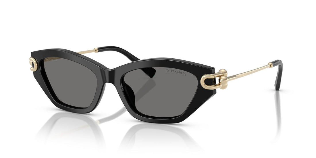 TIFFANY & CO TF4231U 800181 53 SUNGLASSES