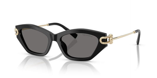 TIFFANY & CO TF4231U 800181 53 SUNGLASSES