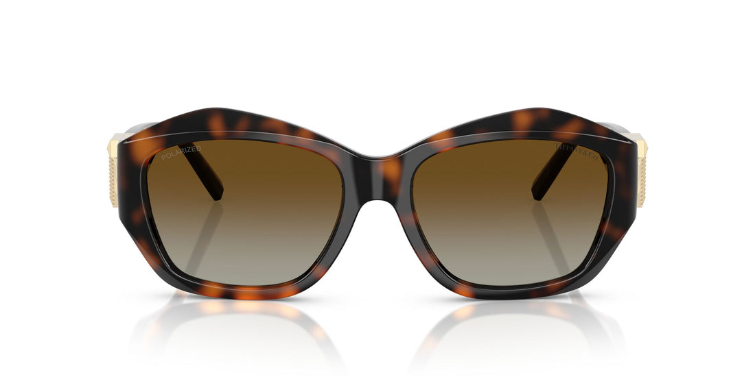 TIFFANY & CO TF4233U 8015T5 54 SUNGLASSES