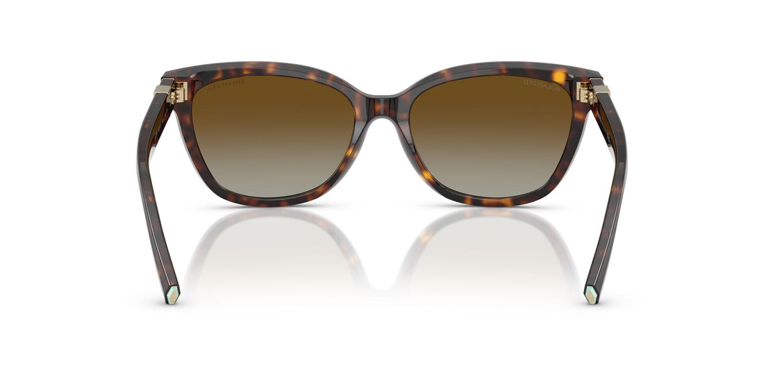 TIFFANY & CO TF4237B 8015T5 55 SUNGLASSES