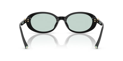 TIFFANY & CO TF4242D 8001D9 54 SUNGLASSES