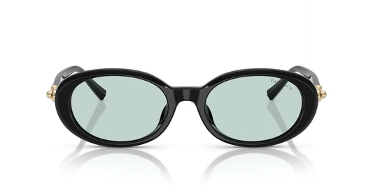 TIFFANY & CO TF4242D 8001D9 54 SUNGLASSES