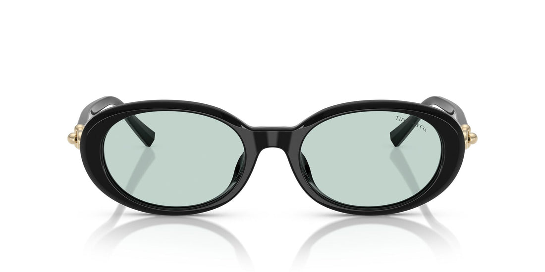 TIFFANY & CO TF4242D 8001D9 54 SUNGLASSES