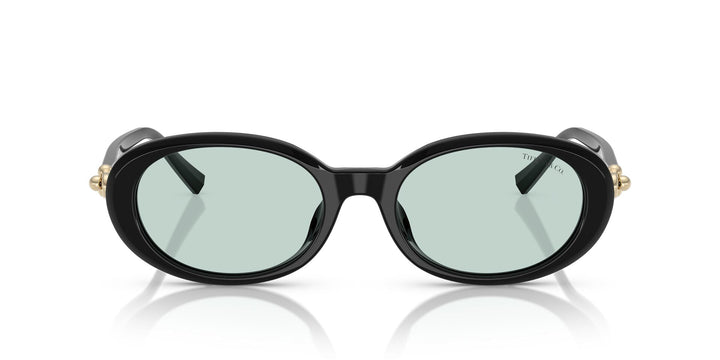 TIFFANY & CO TF4242D 8001D9 54 SUNGLASSES