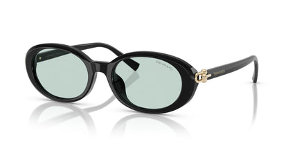 TIFFANY & CO TF4242D 8001D9 54 SUNGLASSES