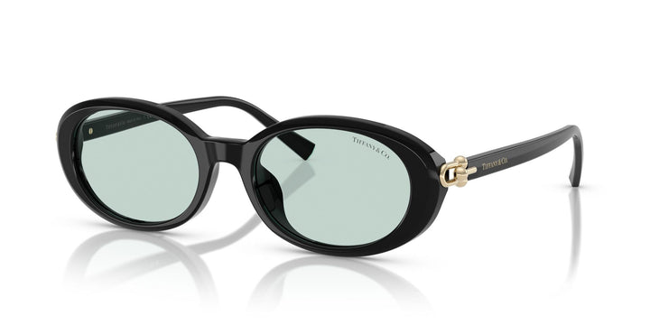 TIFFANY & CO TF4242D 8001D9 54 SUNGLASSES