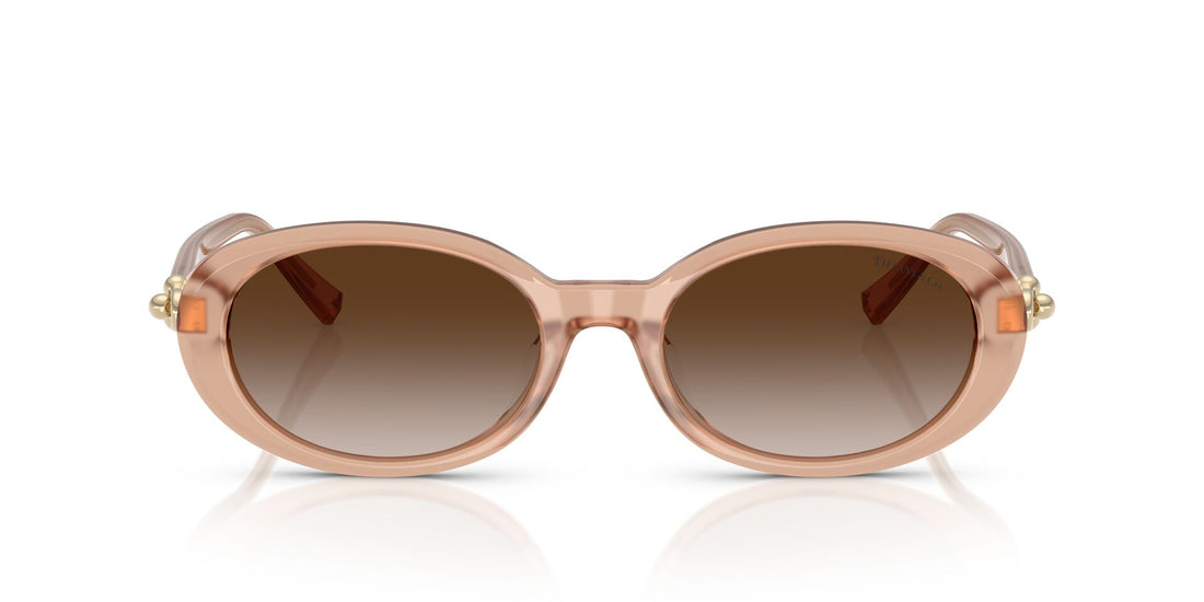 TIFFANY & CO TF4242D 8268 3B 54 SUNGLASSES