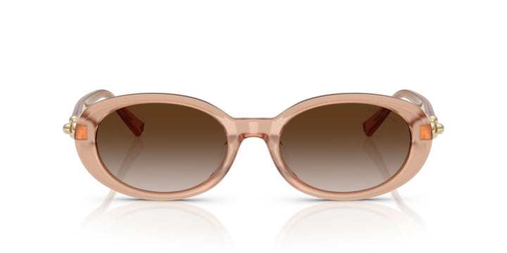 TIFFANY & CO TF4242D 8268 3B 54 SUNGLASSES