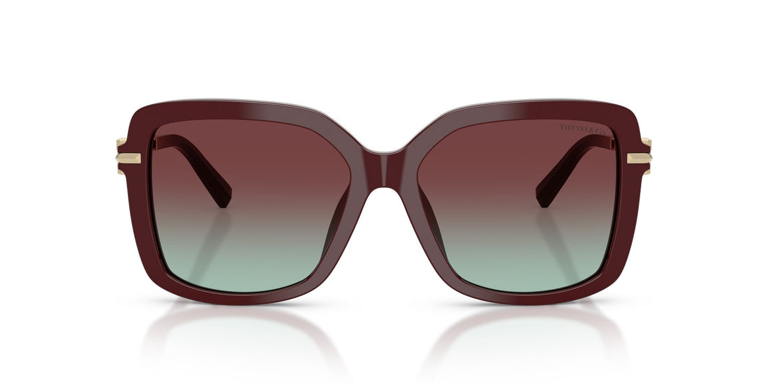 TIFFANY & CO TF4252B 8389 V5 55 SUNGLASSES