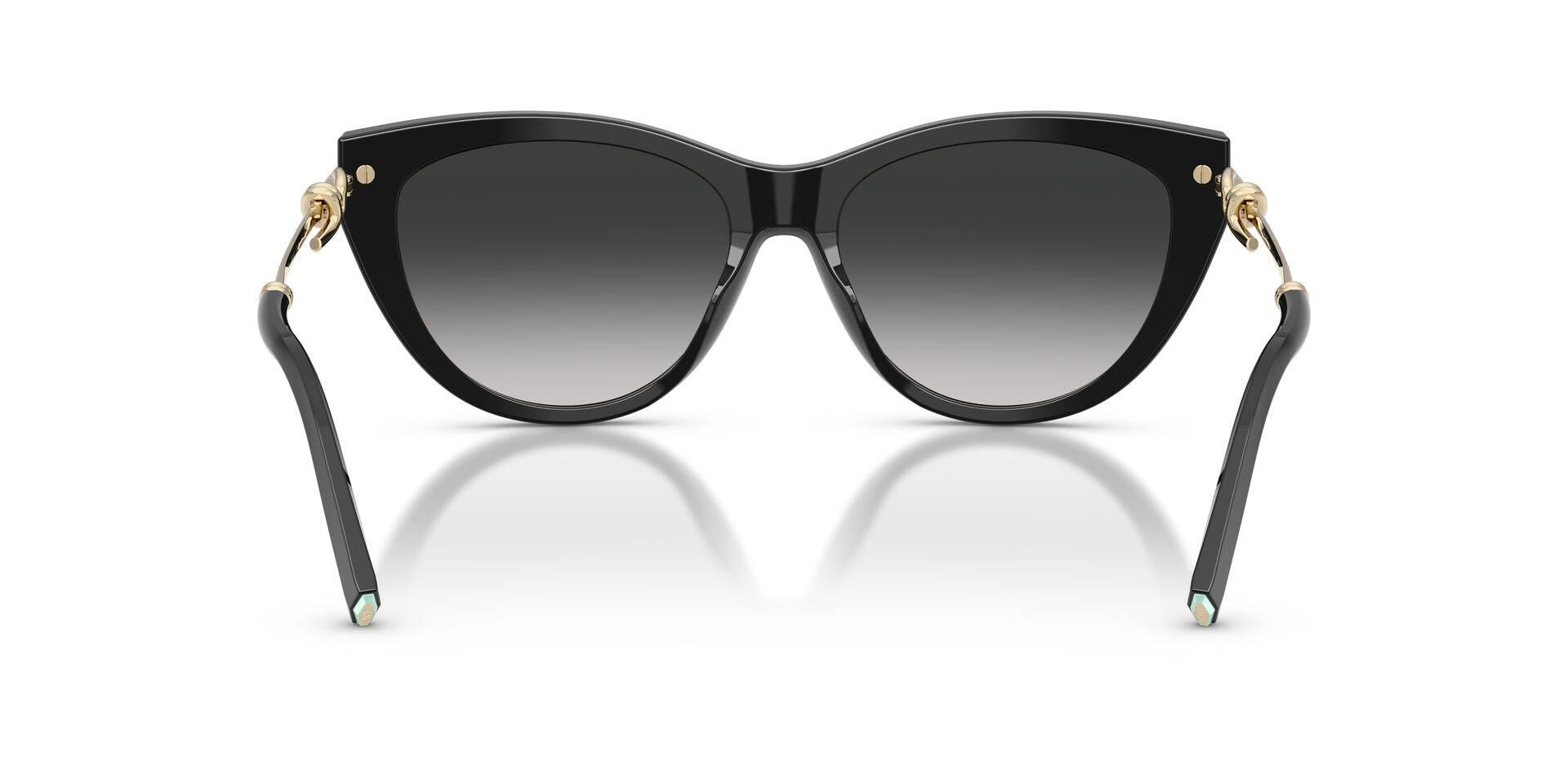 TIFFANY & CO TF4253 80013C 55 SUNGLASSES