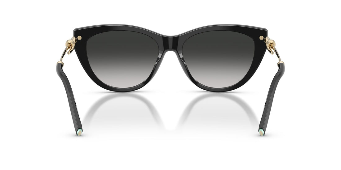 TIFFANY & CO TF4253 80013C 55 SUNGLASSES