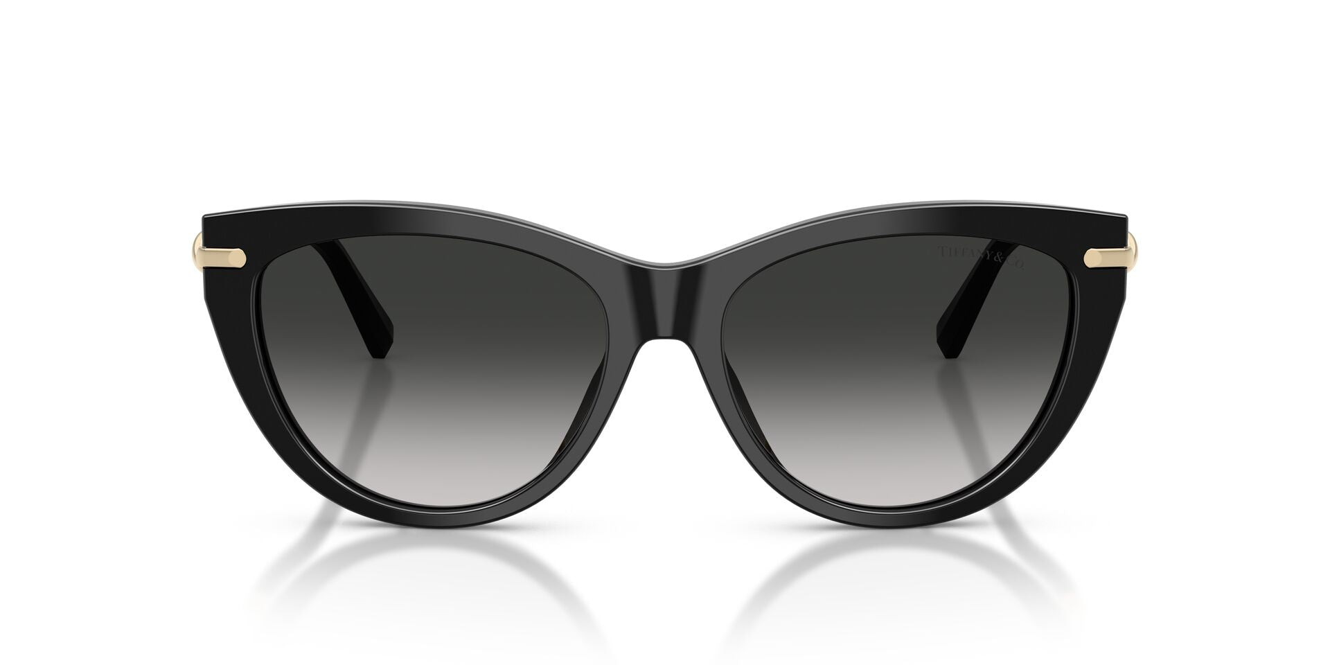 TIFFANY & CO TF4253 80013C 55 SUNGLASSES