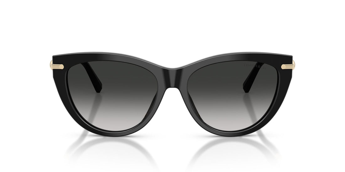 TIFFANY & CO TF4253 80013C 55 SUNGLASSES