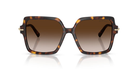 TIFFANY & CO TF4260U 80153B 57 SUNGLASSES