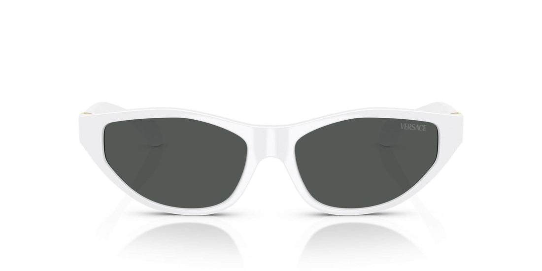 VERSACE VE4491U 314 87 55 SUNGLASSES