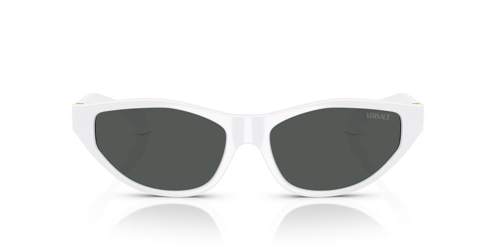 VERSACE VE4491U 314 87 55 SUNGLASSES