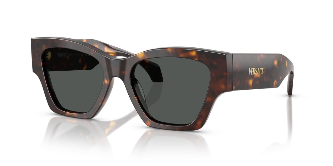 VERSACE VE4492U 108 87 53 SUNGLASSES
