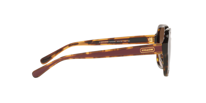 COACH HC8335U C7989 512013 53 SUNGLASSES