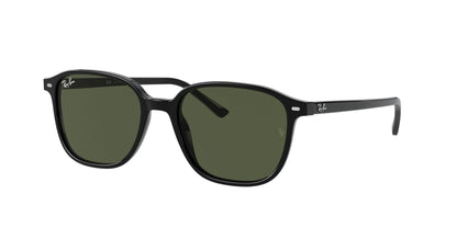 RAYBAN RB2193 LEONARD 901/31 53 SUNGLASSES
