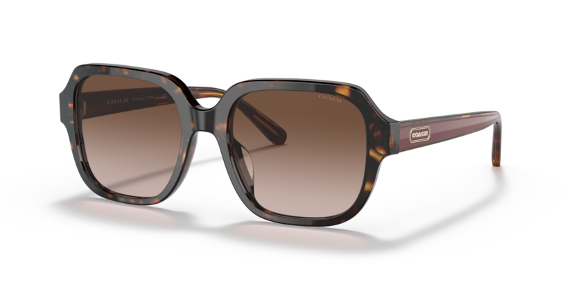 COACH HC8335U C7989 512013 53 SUNGLASSES