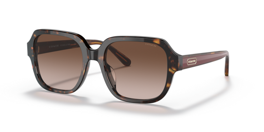 COACH HC8335U C7989 512013 53 SUNGLASSES