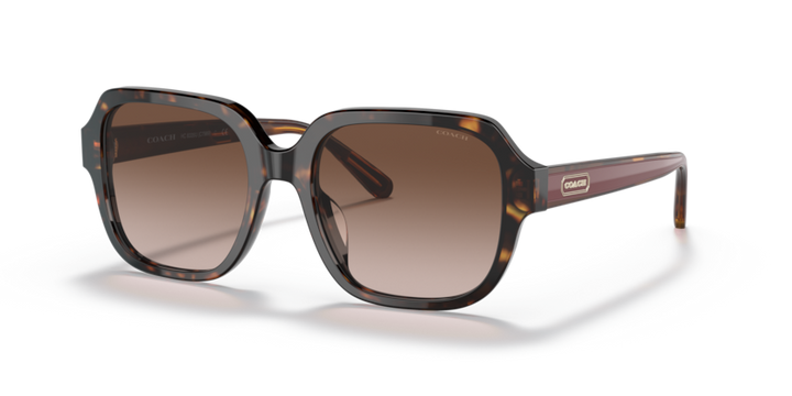 COACH HC8335U C7989 512013 53 SUNGLASSES