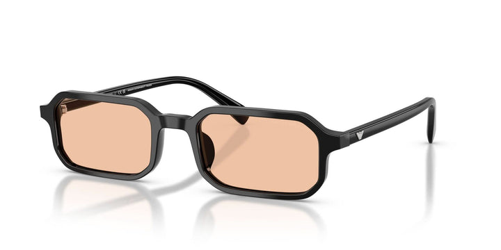 EMPORIO ARMANI EA4253U 501793 54 SUNGLASSES