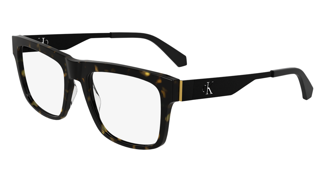 CALVIN KLEIN JEANS CKJ24632 242 54 FRAME